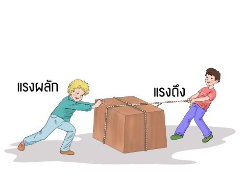 เวกเตอร์ Flashcards - แบบทดสอบ