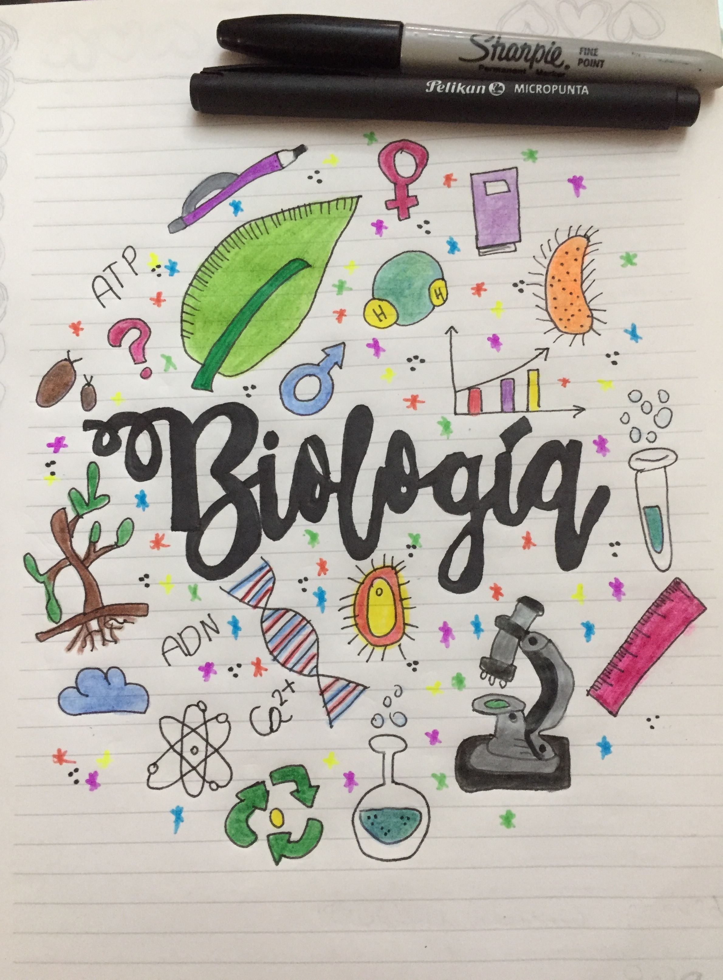 biologia vegetal - Série 12 - Questionário