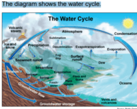 movements of ocean water - Grade 5 - Quizizz