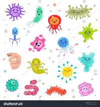 bacteria and archaea - Class 5 - Quizizz