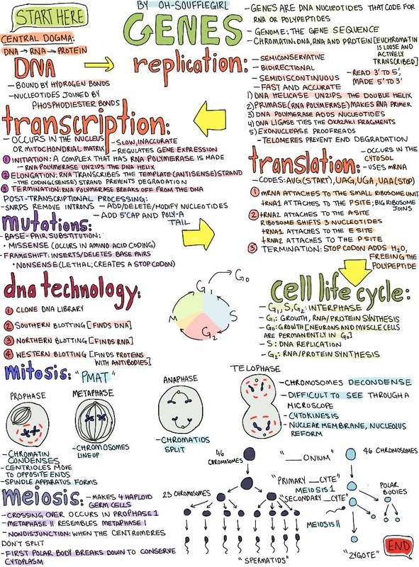 Biology Midterm Review | Biology Quiz - Quizizz