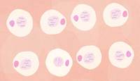 siklus sel dan mitosis - Kelas 6 - Kuis