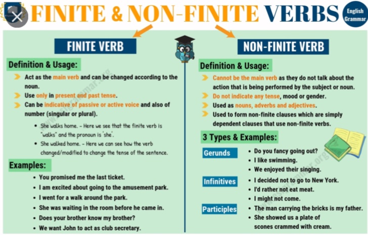 Finite and non finite | Quizizz