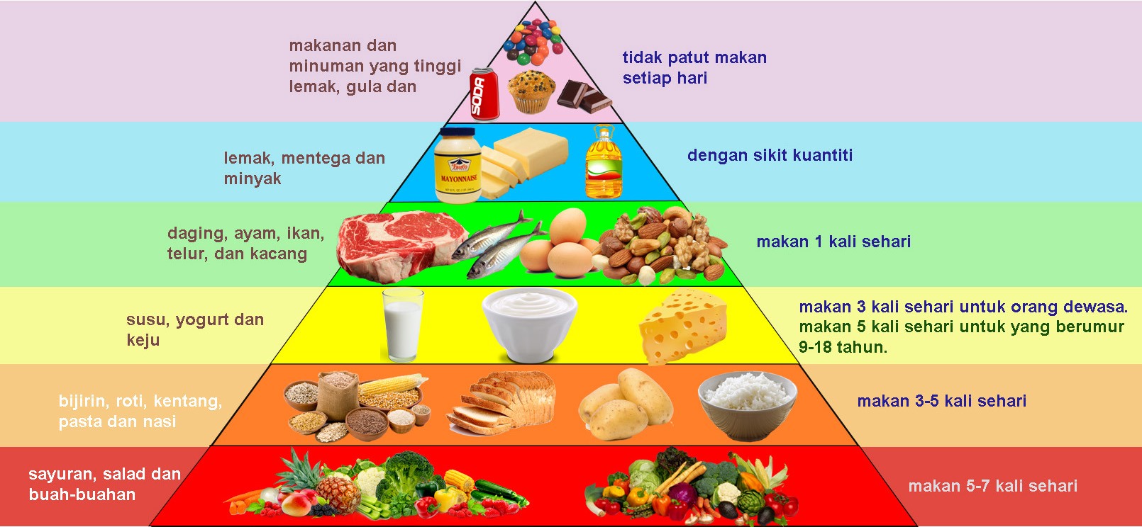 Pendidikan Kesihatan Tahun 4 Pemakanan Sihat 465 Plays Quizizz