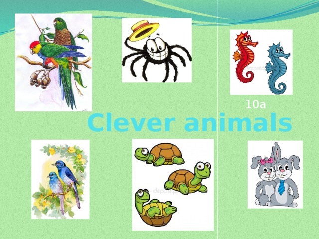 Clever animals | 69 plays | Quizizz