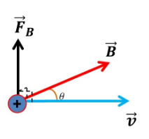 fuerzas magnéticas campos magnéticos y ley de faradays Tarjetas didácticas - Quizizz