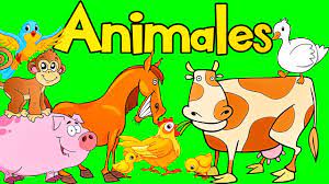 Los animales | Quizizz