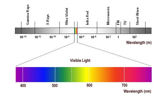 Electromagnetic Spectrum | Wave Motion Quiz - Quizizz