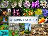 Plantas, animales y la tierra. - Grado 2 - Quizizz