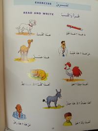 Body parts in Arabic