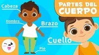 Estructura del ensayo persuasivo Tarjetas didácticas - Quizizz