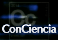 Consciencia - Grado 12 - Quizizz