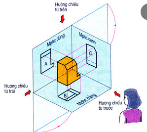 Hình dạng phẳng - Lớp 11 - Quizizz