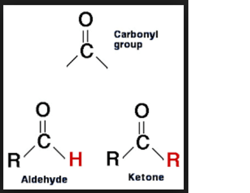 CARBONYL COMPOUNDS | Organic Chemistry Quiz - Quizizz