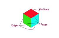 Shapes - Class 7 - Quizizz