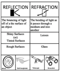 Reflections - Year 3 - Quizizz