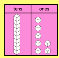 chromosome structure and numbers - Grade 1 - Quizizz