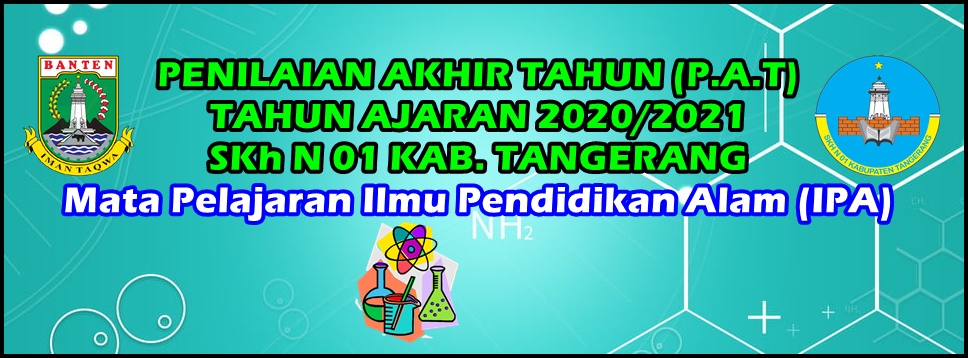 SOAL PAT I P A KELAS 4 SDLB-B TAHUN PELAJARAN 2020/2021 | Quizizz