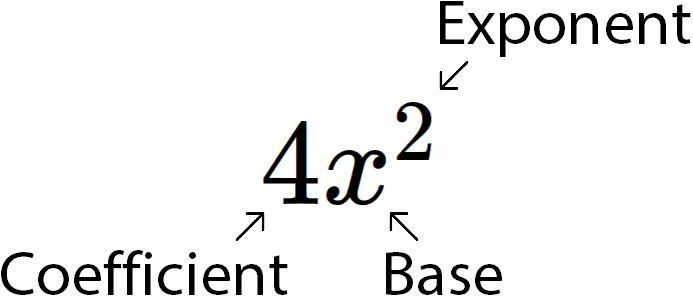 Exponents And Their Laws | Quizizz