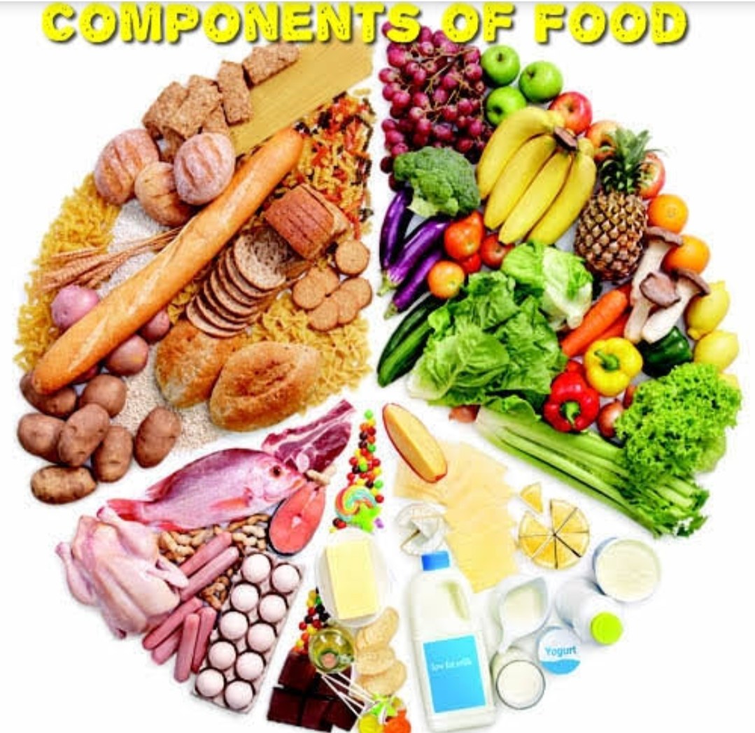 Components of food