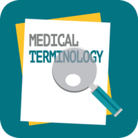 Terminología medica - Grado 12 - Quizizz