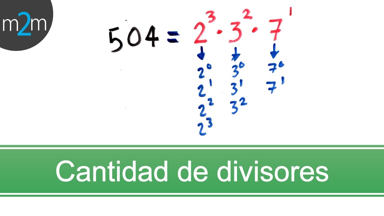 Divisão com divisores de dois dígitos - Série 6 - Questionário