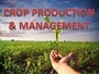 Grade 8 Revision : Crop Production and Management