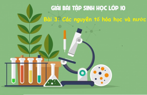 Sinh 10 Bài 3: Các cấp độ tổ chức của thế giới sống chi tiết