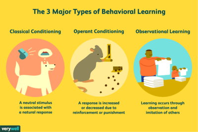 Operant Conditioning Psychology Quizizz