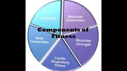 5 Components of Fitness Review