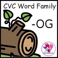 Word Family Flashcards - Quizizz