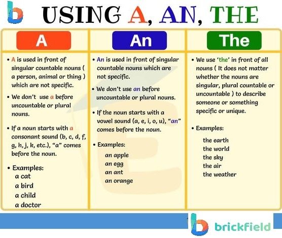 Articles - Class 12 - Quizizz