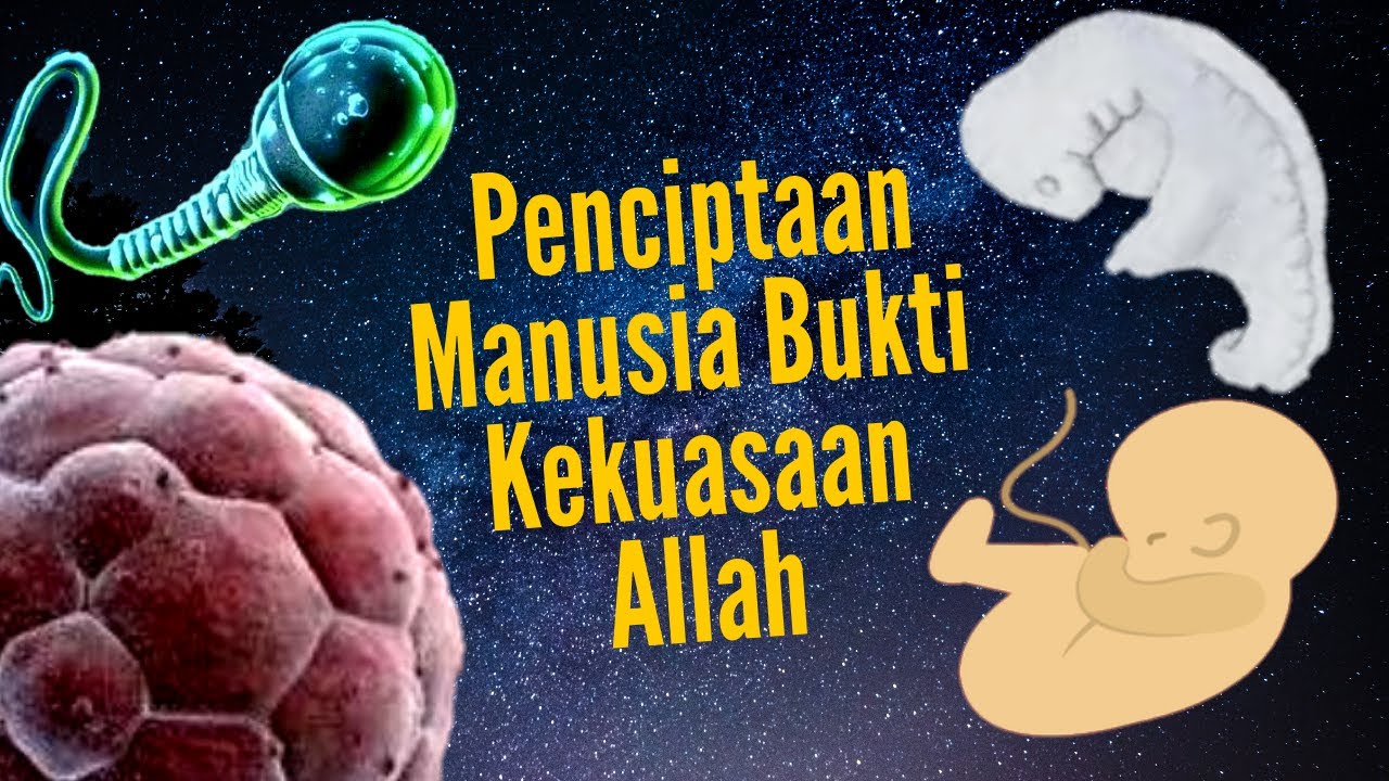 Allah bukti kekuasaan Al