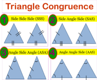 Triangle Congruence SSS SAS ASA AAS HL 145 Plays Quizizz