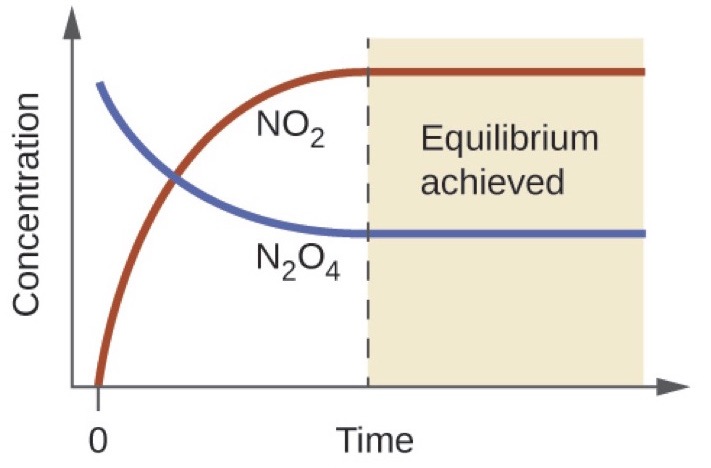 equilibrium-class-11-chemistry-cbse-part-06-youtube