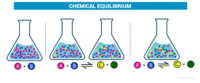 torque and equilibrium - Year 10 - Quizizz