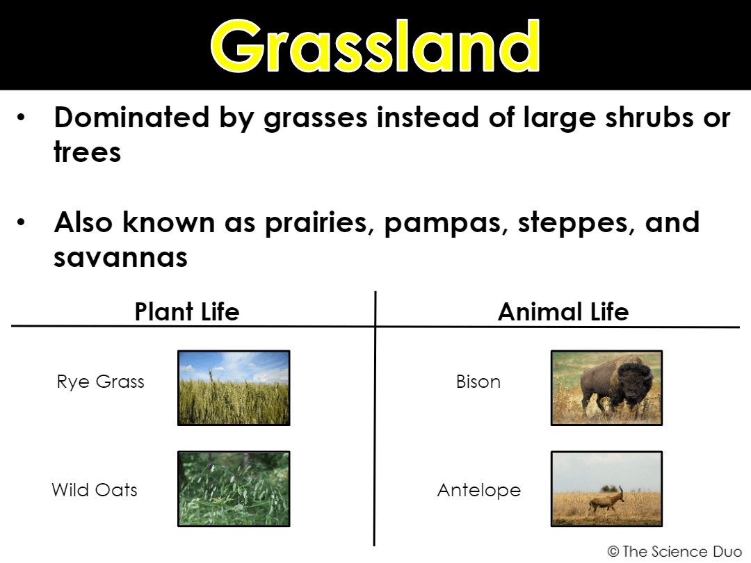 Biomes Questions & Answers For Quizzes And Tests - Quizizz