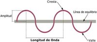 Ondas - Grado 12 - Quizizz