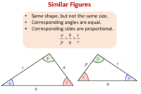 Similar Figures - Grade 11 - Quizizz