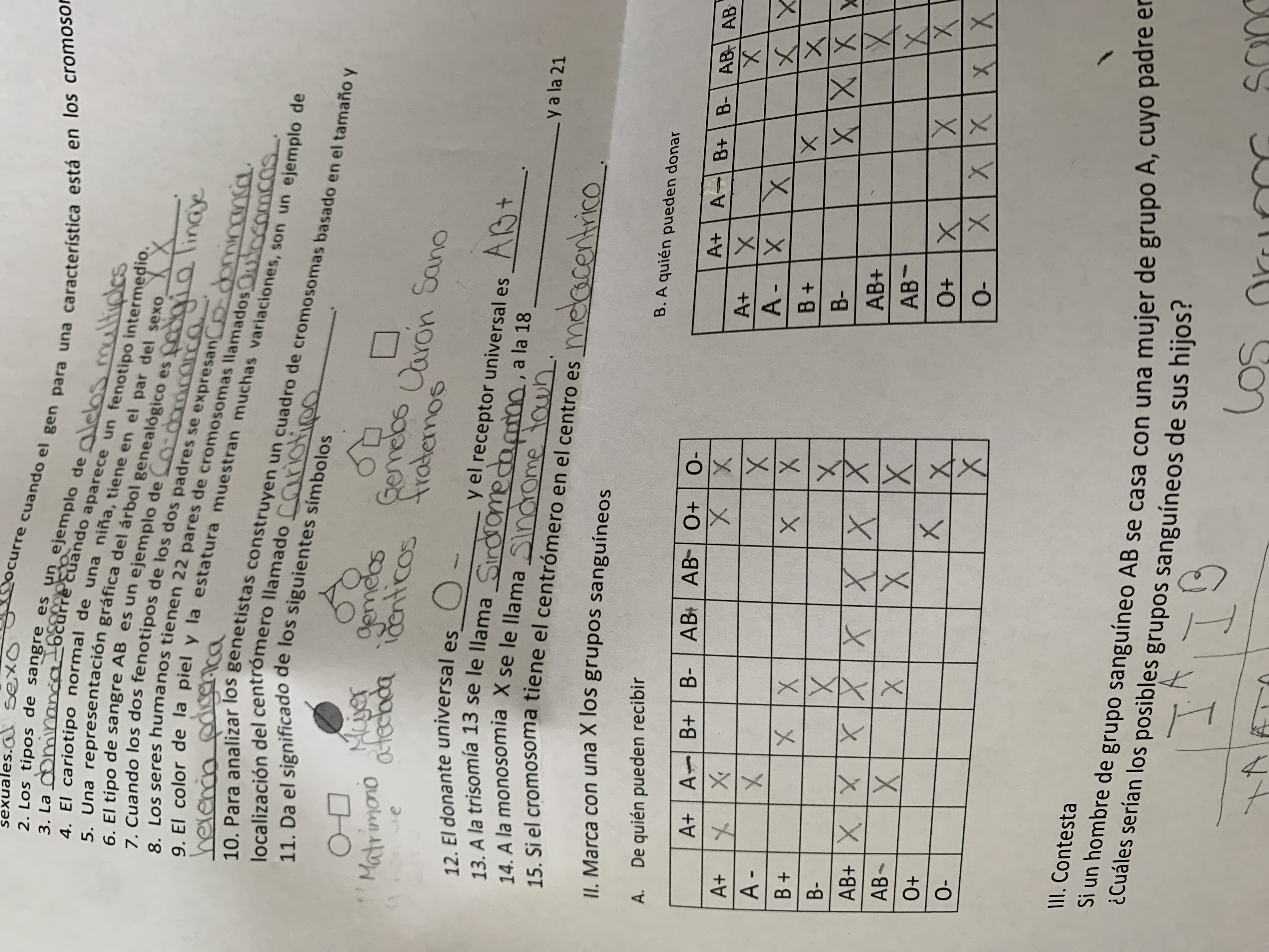 herança não mendeliana - Série 10 - Questionário