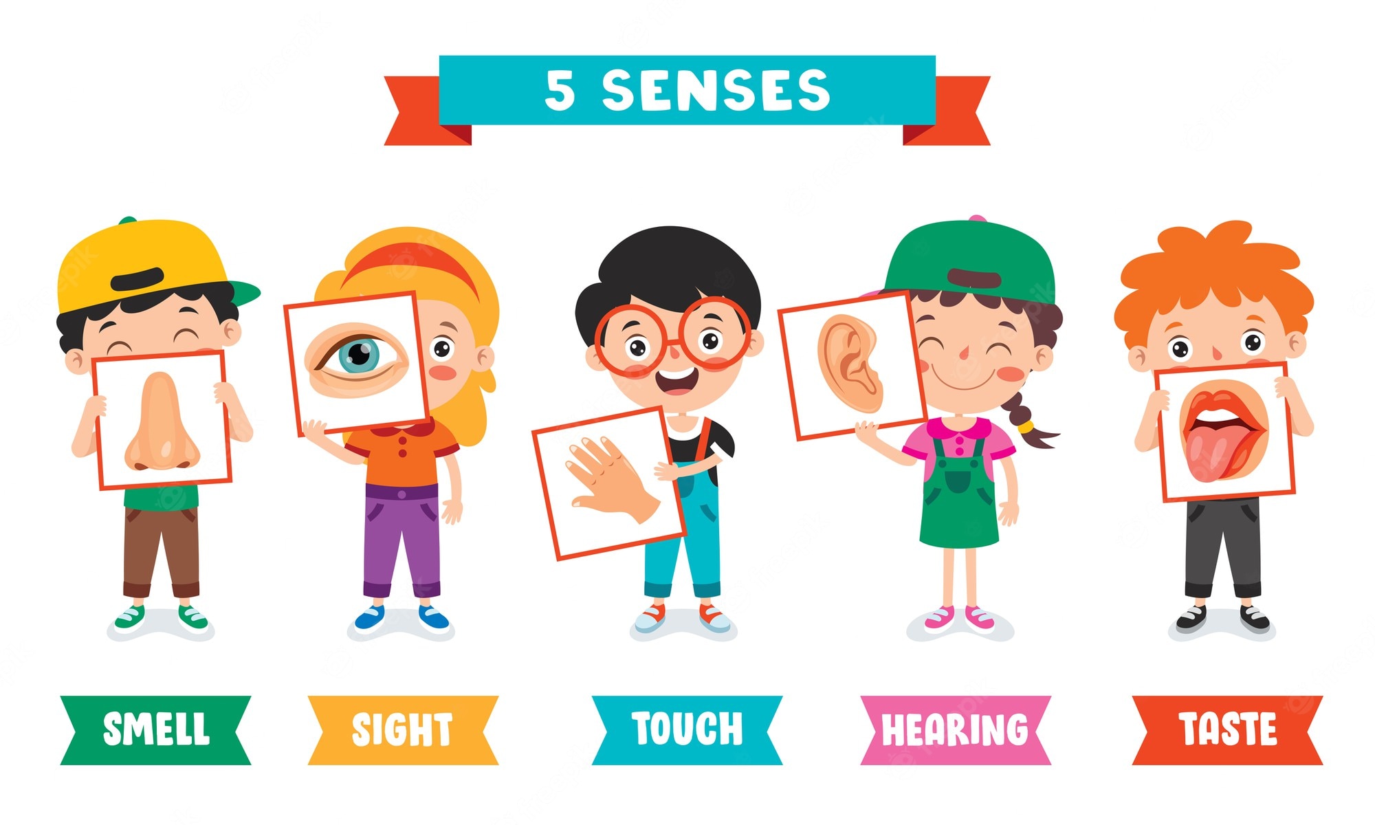 The 5 Senses - Class 6 - Quizizz