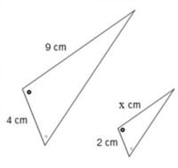 Figuras similares - Grado 7 - Quizizz