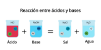 reacciones ácido-base - Grado 12 - Quizizz