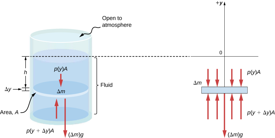 fluids - Grade 10 - Quizizz