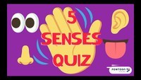 The 5 Senses - Grade 3 - Quizizz