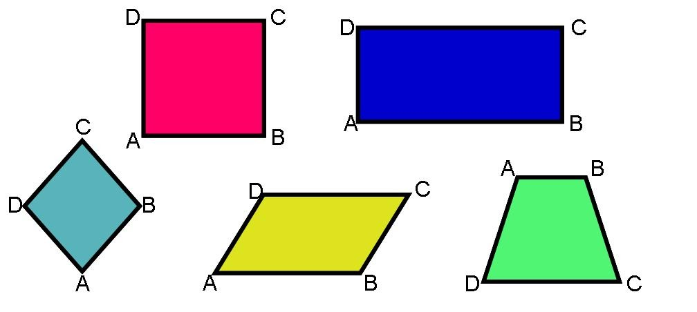 Área dos Quadriláteros - Série 8 - Questionário