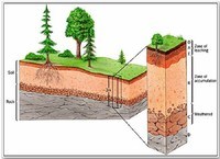 mineral dan batuan - Kelas 10 - Kuis