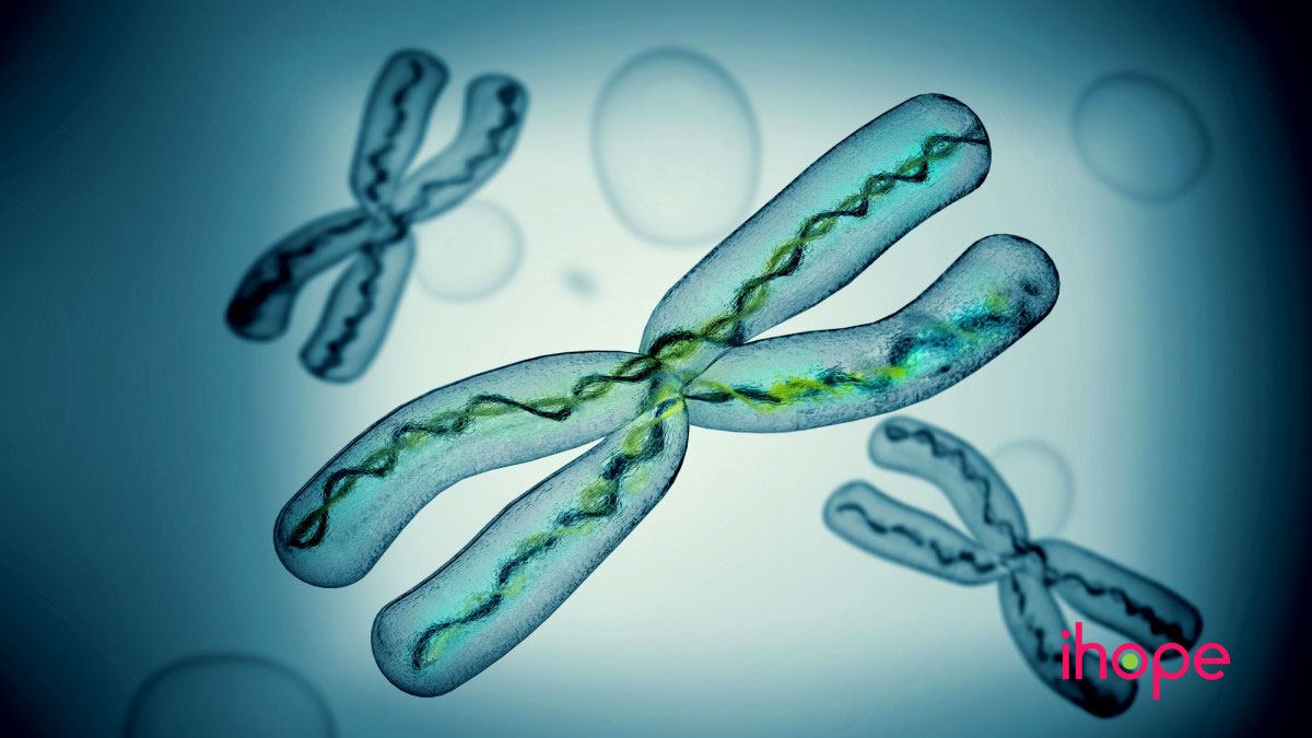 cấu trúc và sao chép DNA - Lớp 3 - Quizizz