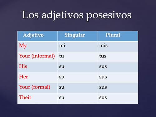 Posesivos plurales - Grado 7 - Quizizz