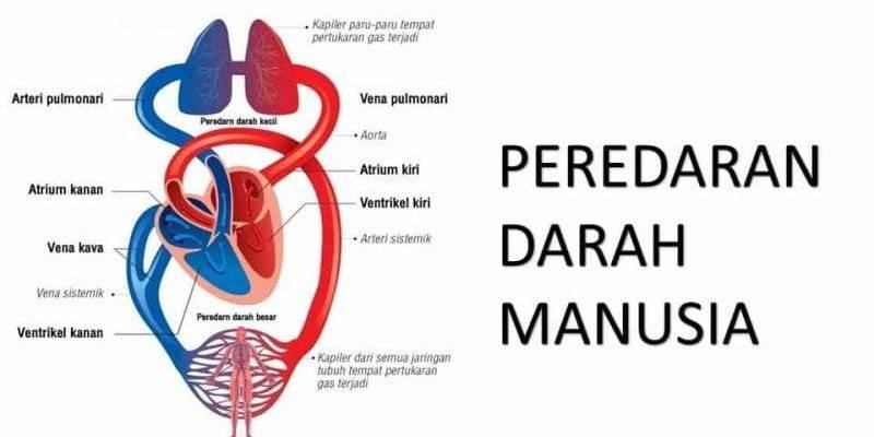 Transformasi - Kelas 12 - Kuis